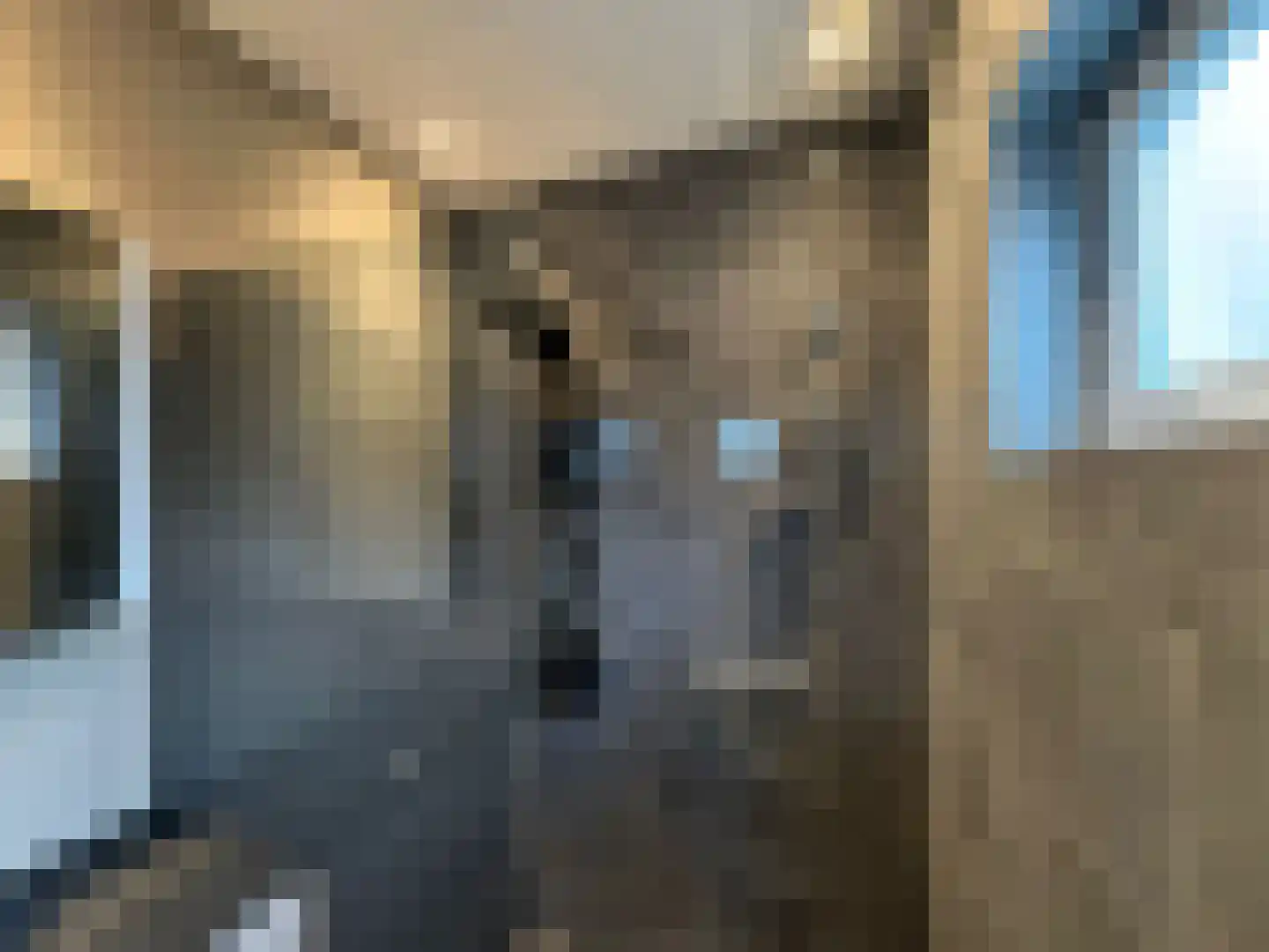 Stationsstraat 10 Dalen thumbnail 13