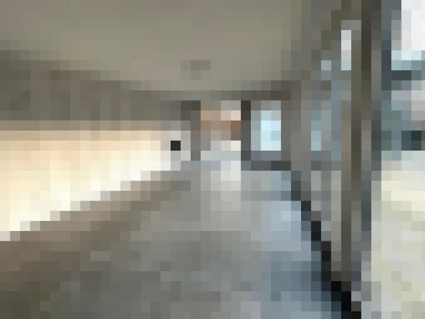 Stationsstraat 10 Dalen thumbnail 22