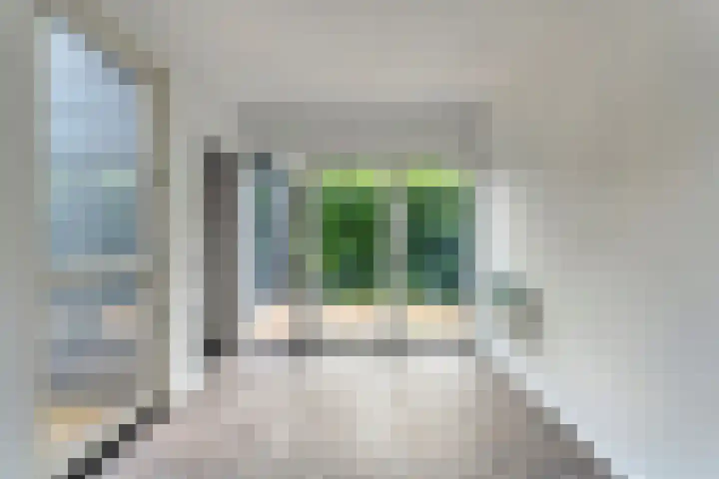 Stationsstraat 10 Dalen thumbnail 26