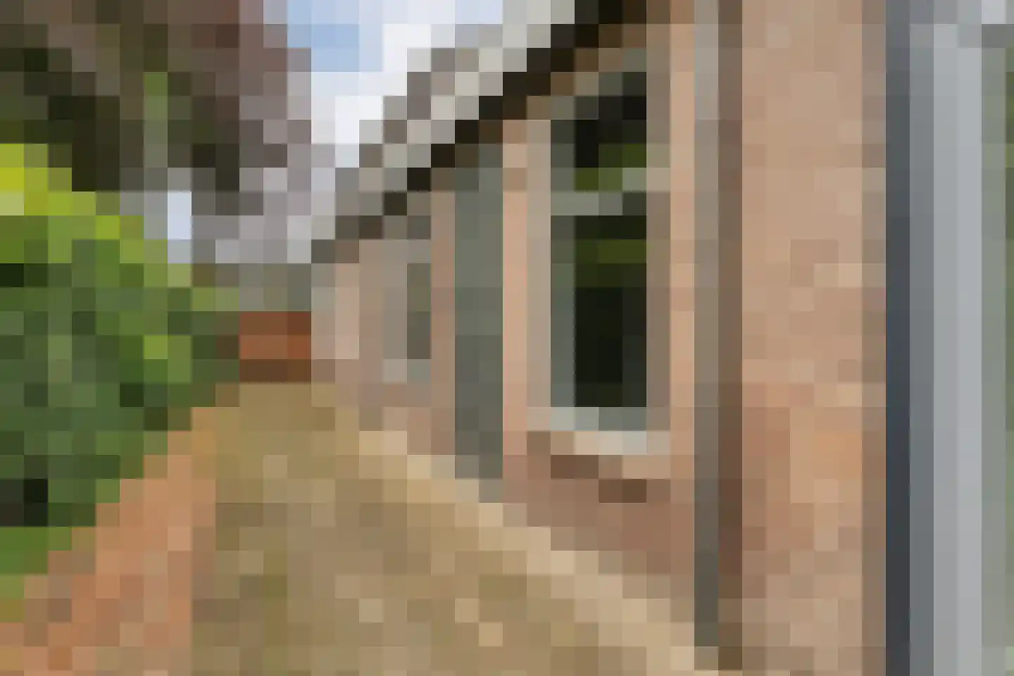 Stationsstraat 10 Dalen thumbnail 38