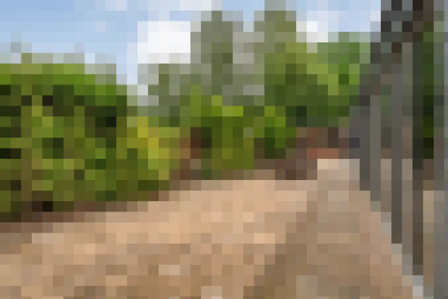 Stationsstraat 10 Dalen thumbnail 41