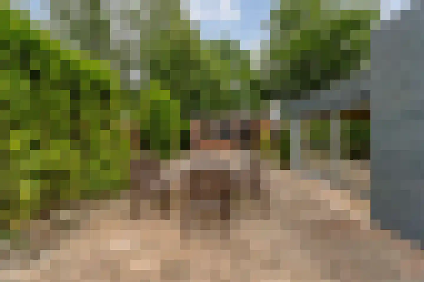 Stationsstraat 10 Dalen thumbnail 47