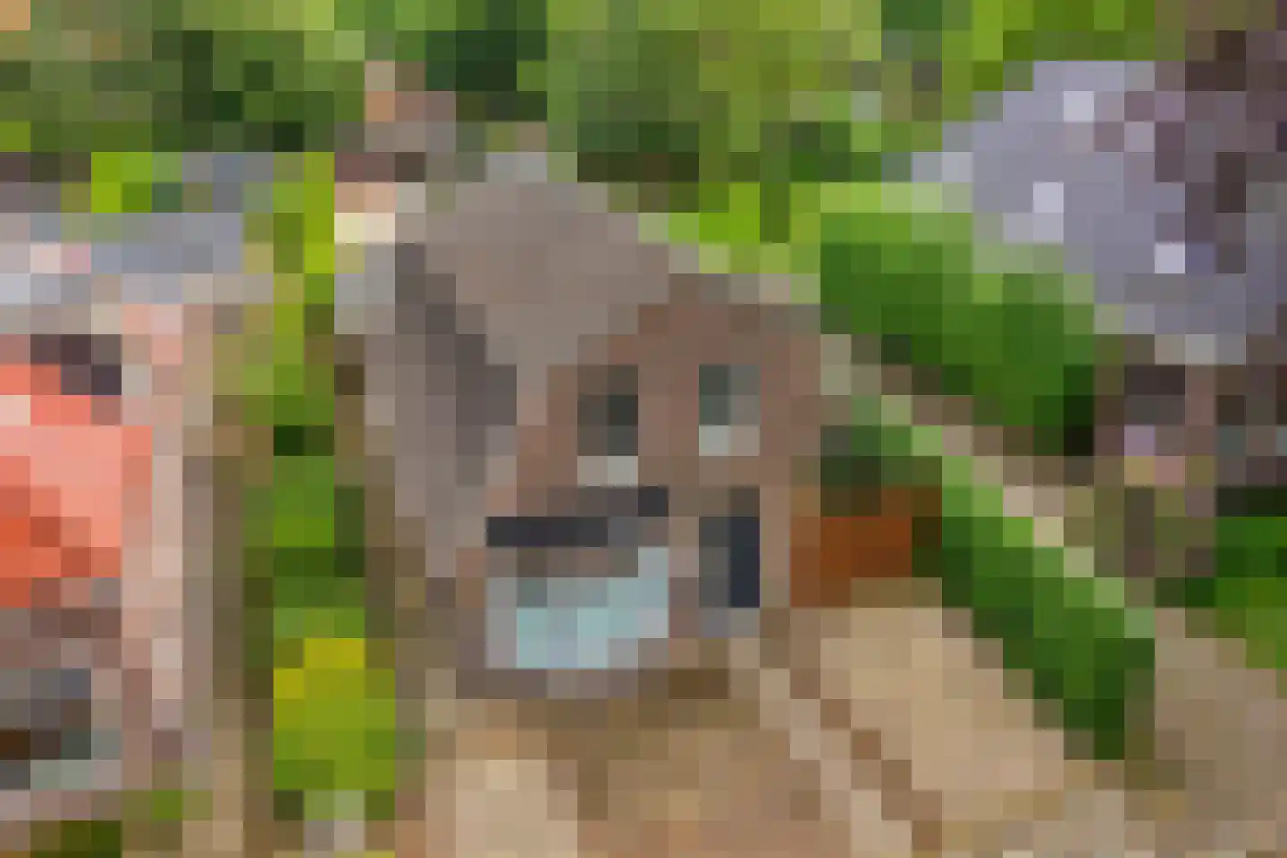 Stationsstraat 10 Dalen thumbnail 5