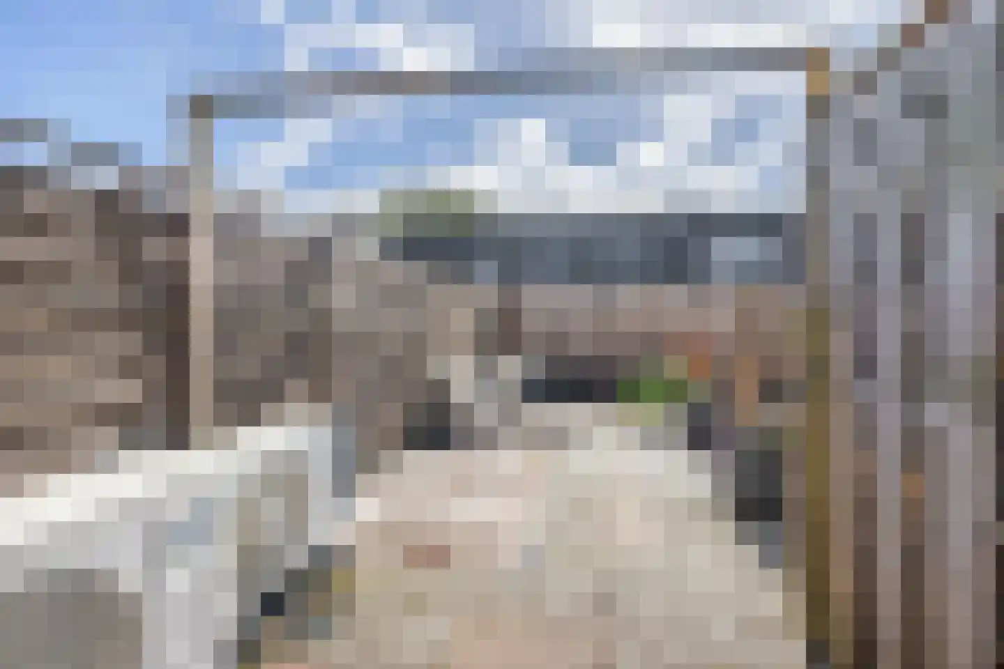 Stationsstraat 100 Pijnacker thumbnail 4