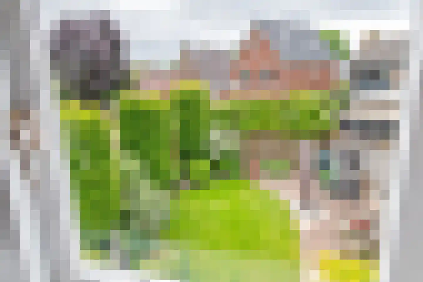 Stationsstraat 11 Druten thumbnail 22