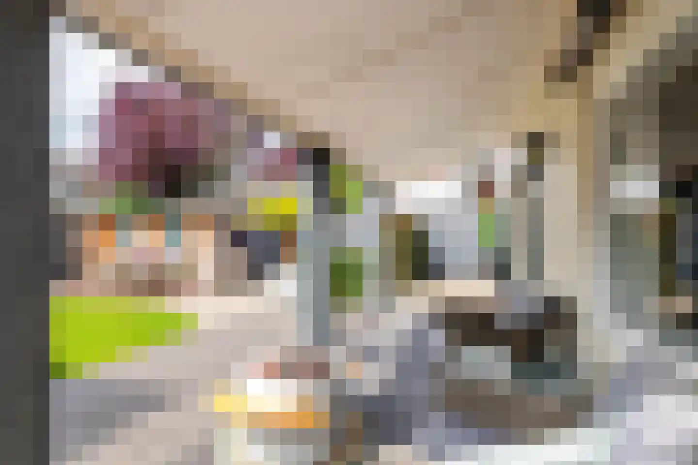 Stationsstraat 11 Druten thumbnail 36