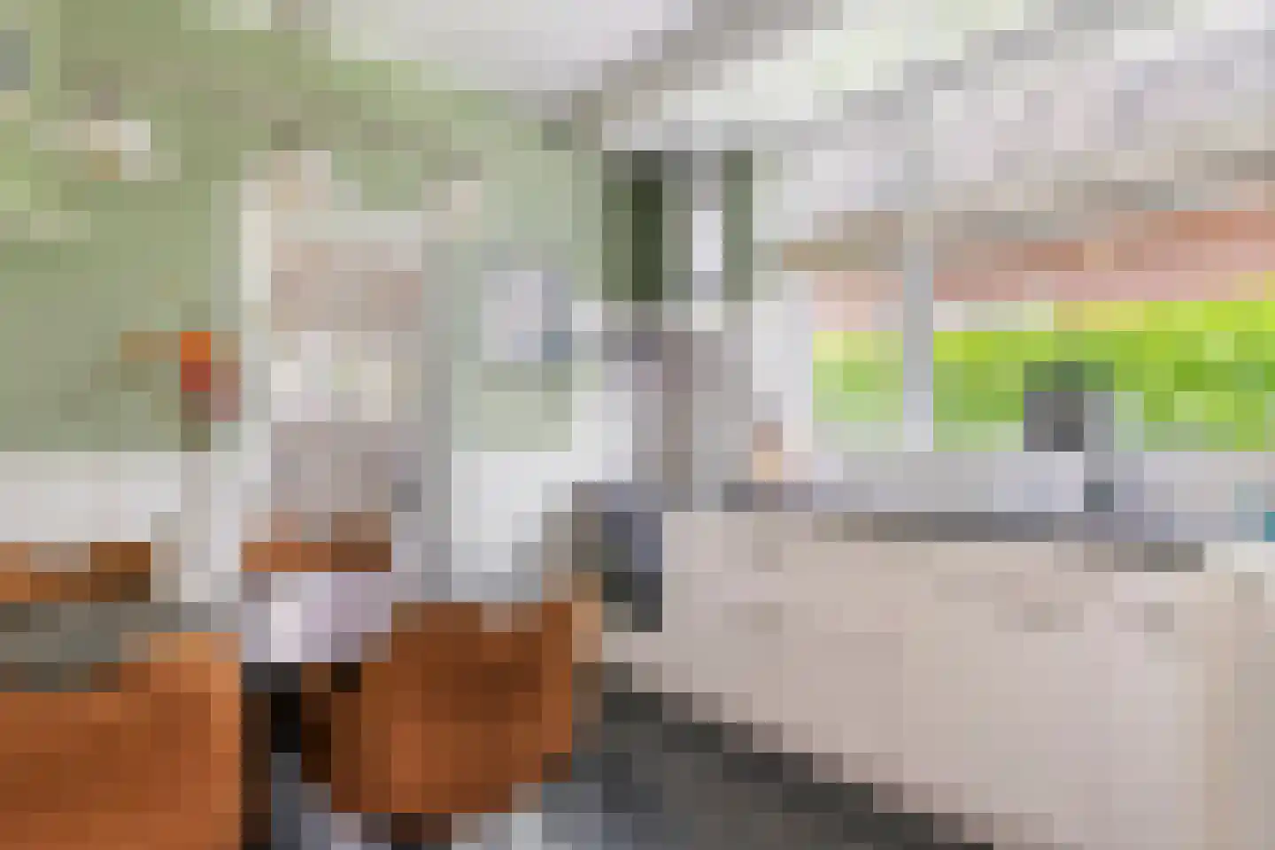 Stationsstraat 11 Druten thumbnail 4