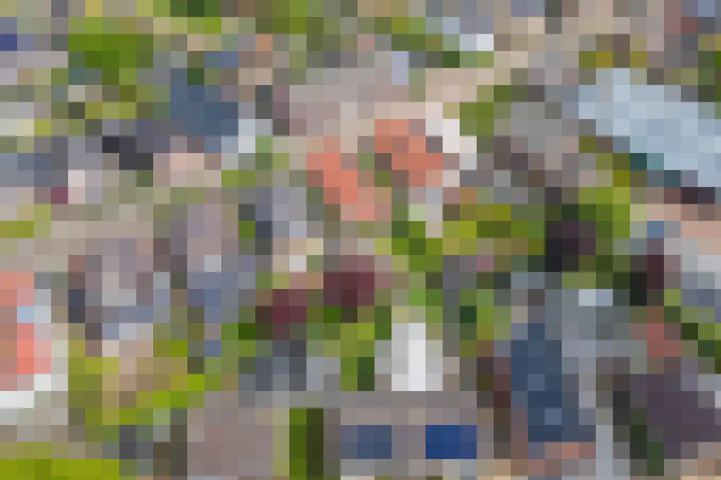 Stationsstraat 11 Druten thumbnail 43