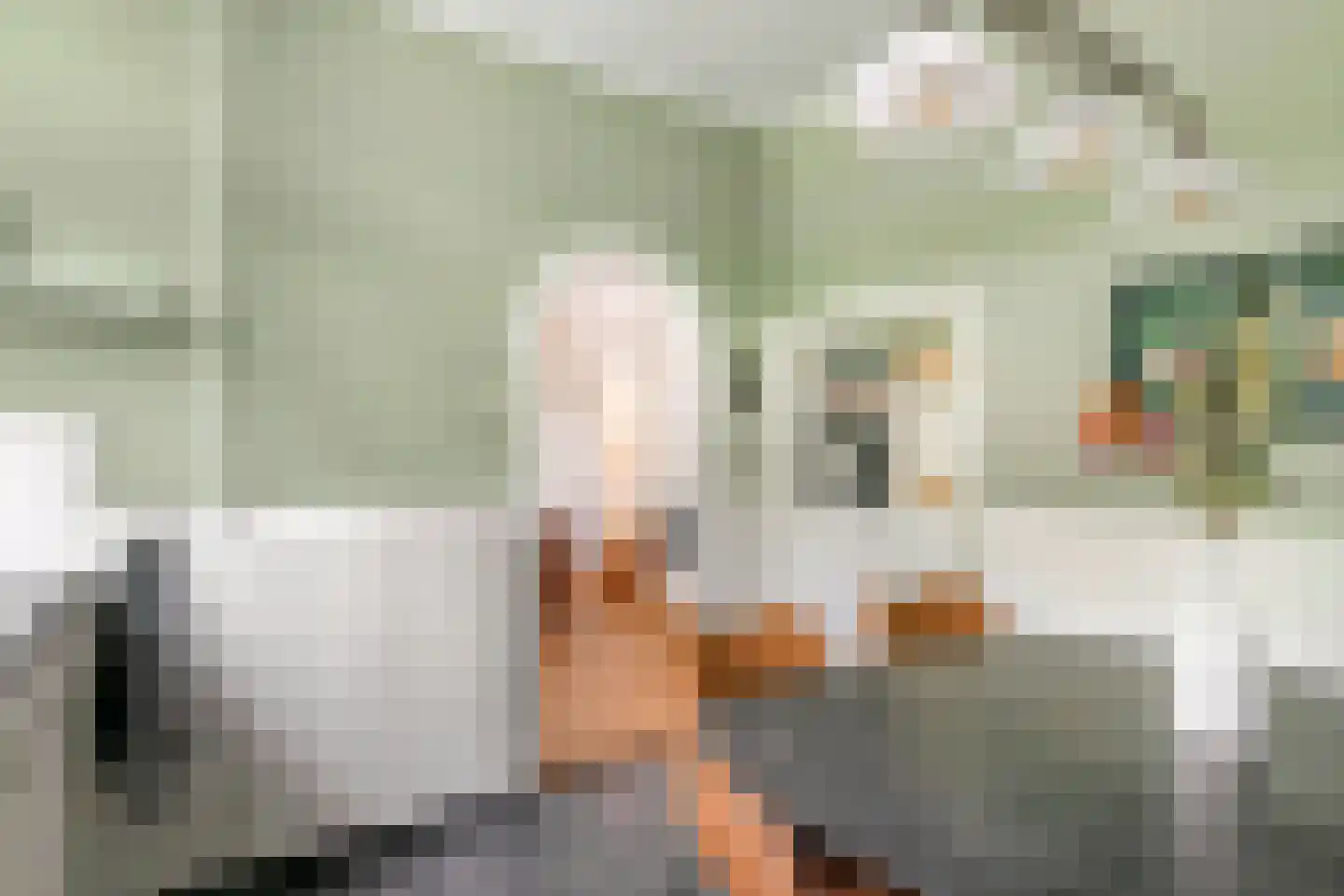 Stationsstraat 11 Druten thumbnail 6