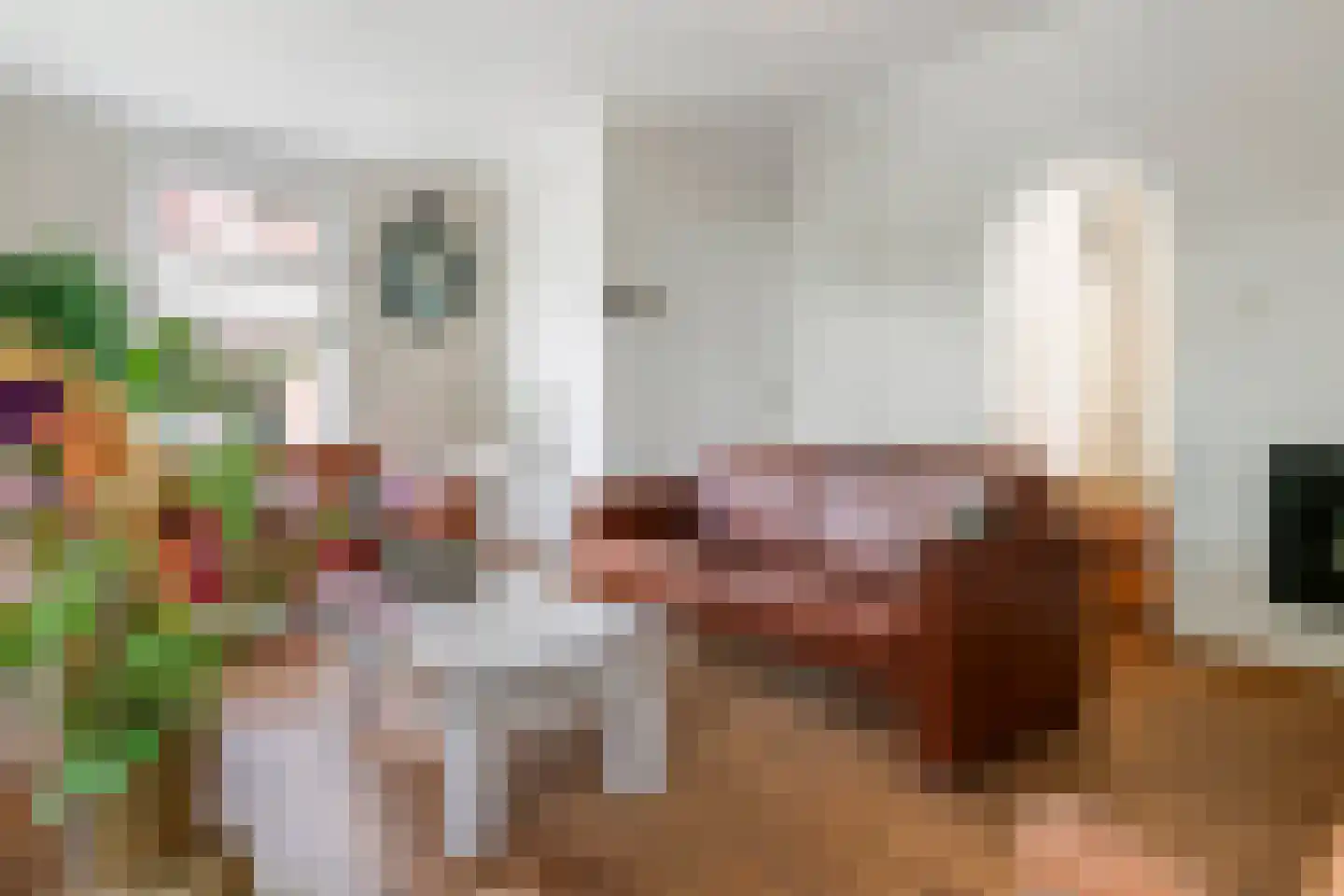 Stationsstraat 11 Druten thumbnail 8