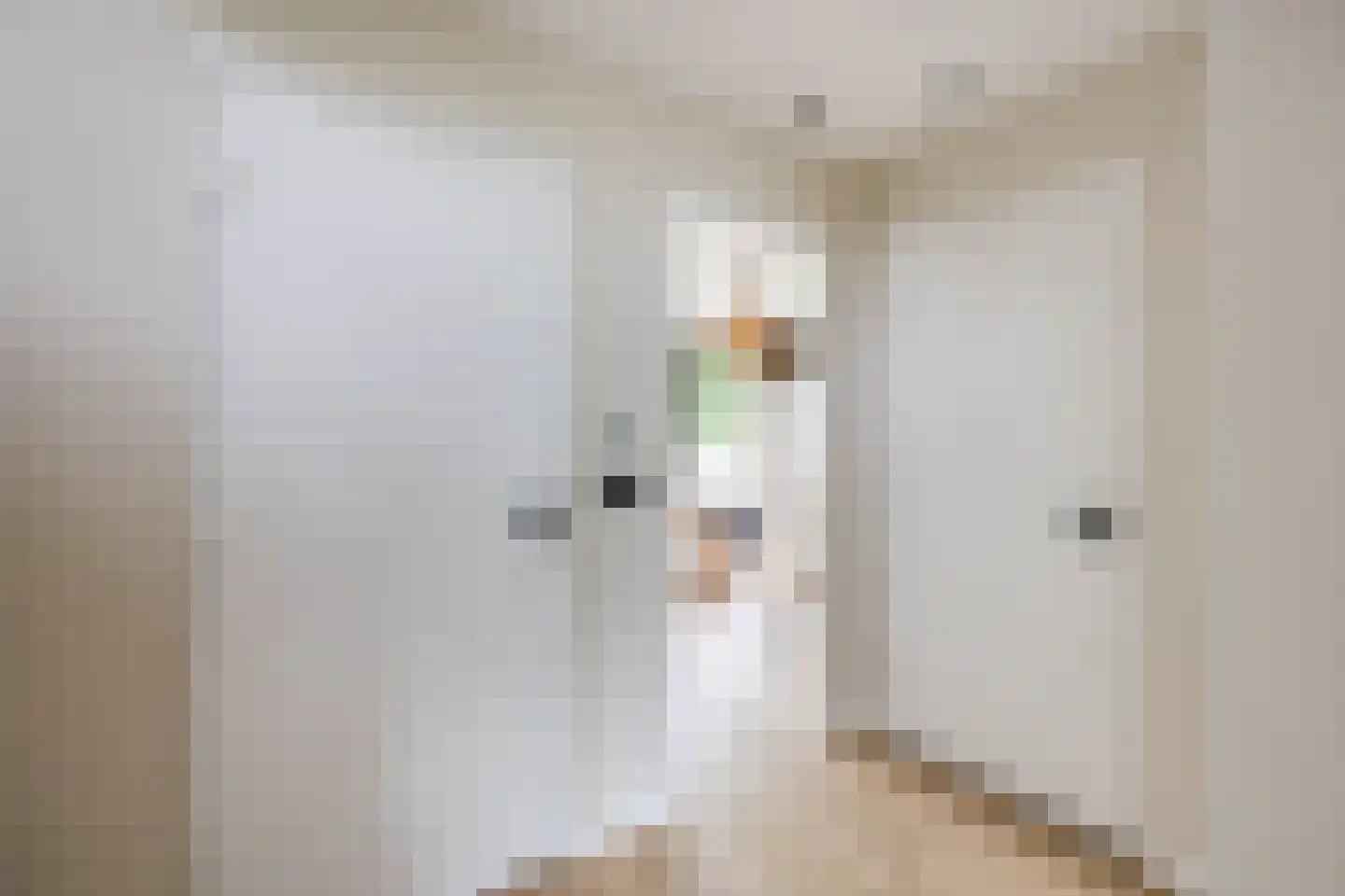 Stationsstraat 11 Hoogeveen thumbnail 33