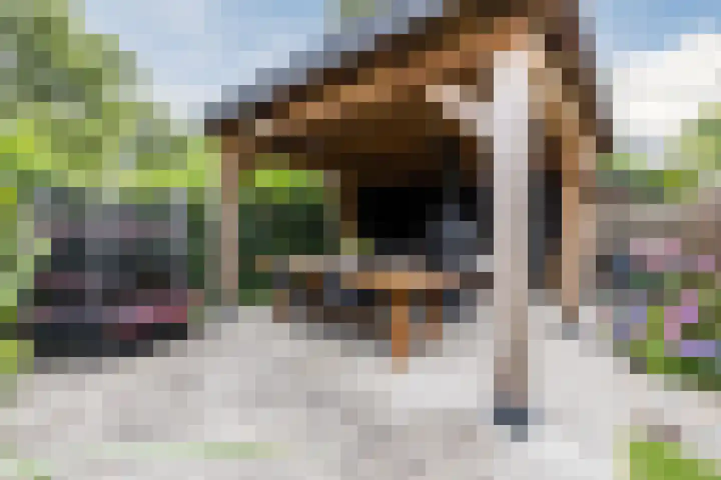 Stationsstraat 11 Hoogeveen thumbnail 49