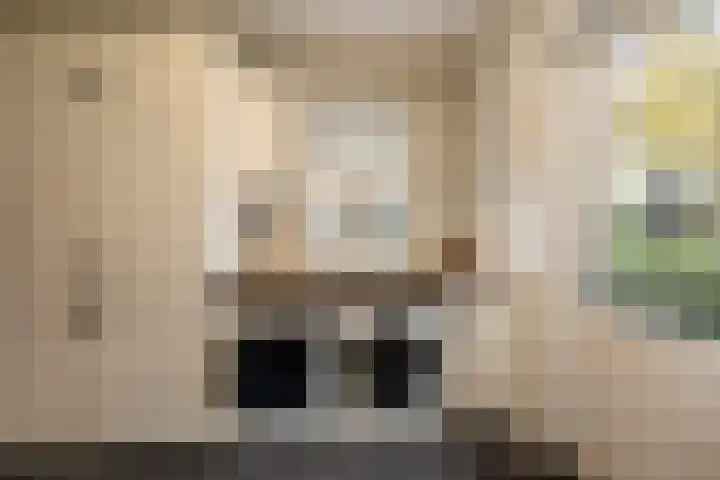 Stationsstraat 11 Raalte thumbnail 19
