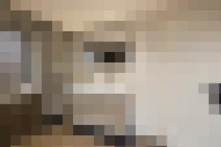 Stationsstraat 11 Raalte thumbnail 37