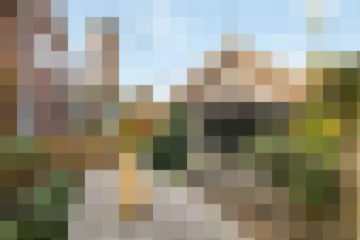 Stationsstraat 11 Raalte thumbnail 55