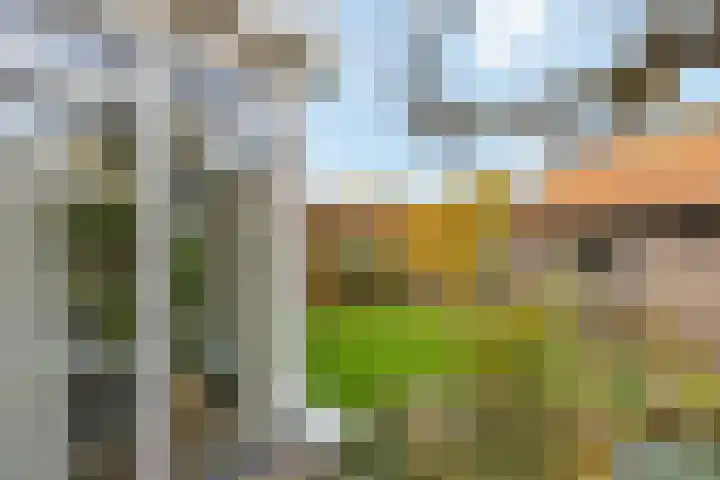 Stationsstraat 11 Raalte thumbnail 56