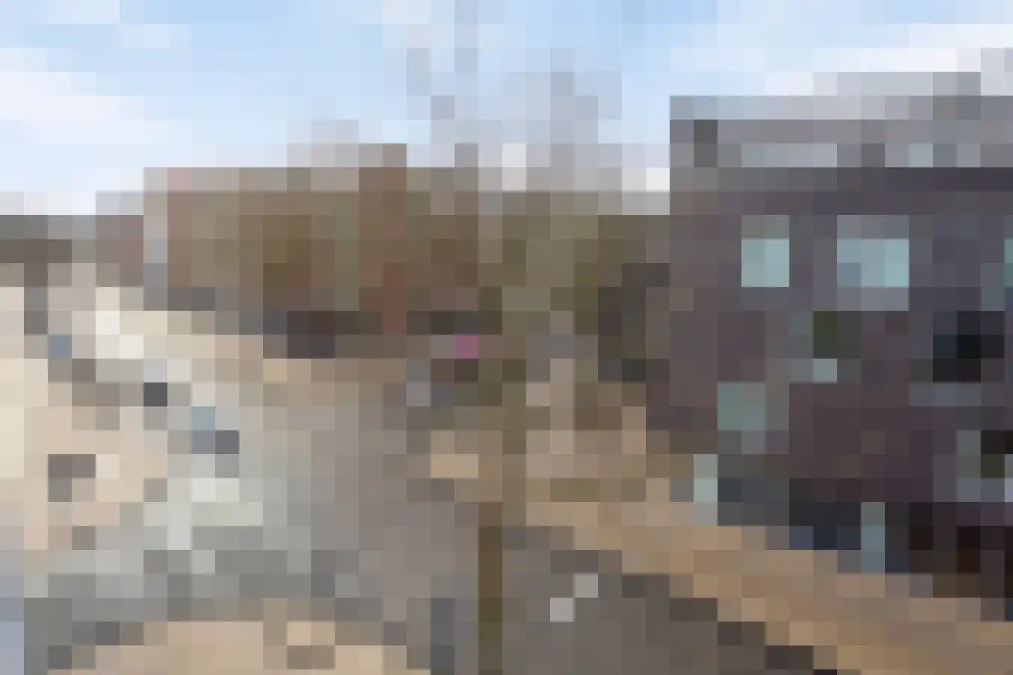 Stationsstraat 116 C Apeldoorn thumbnail 13