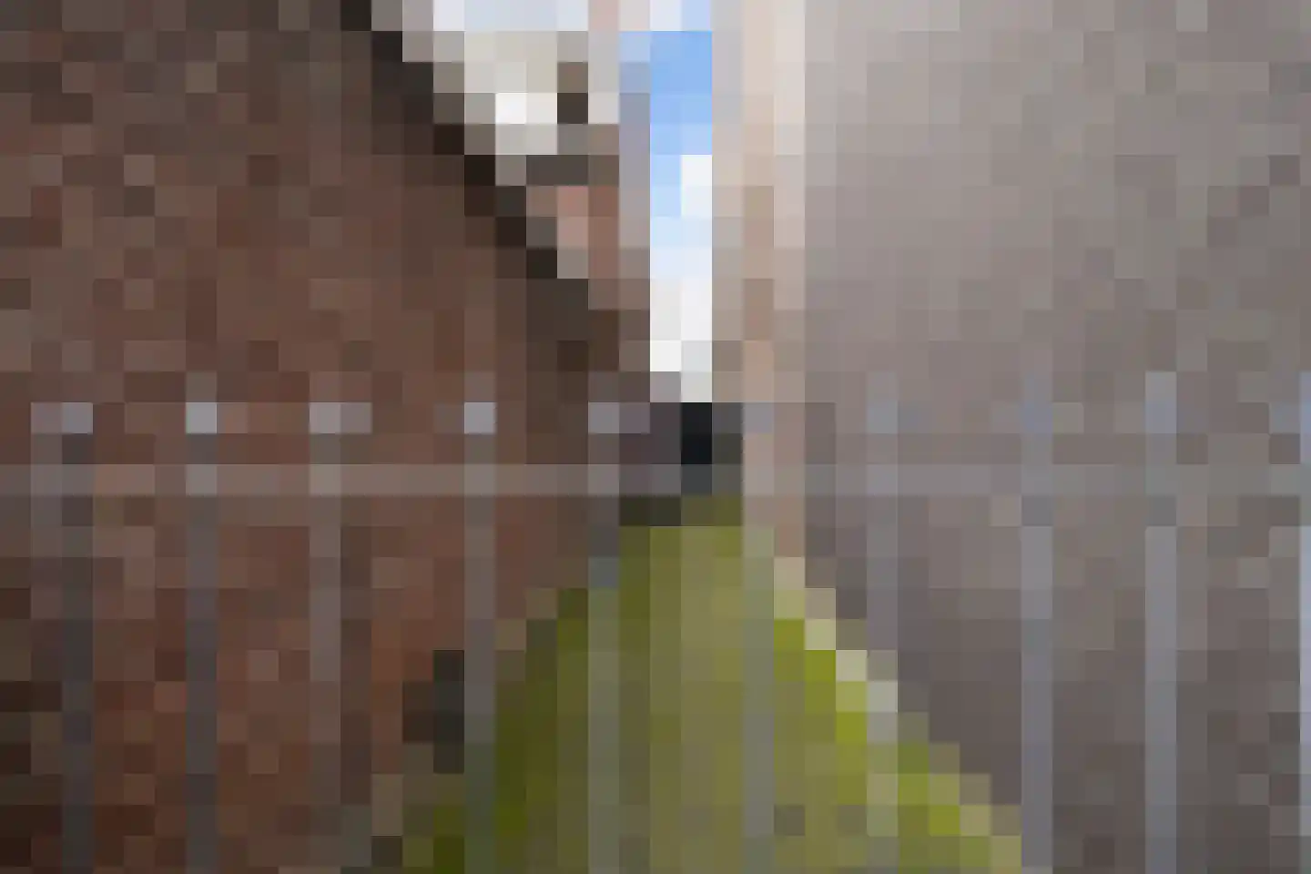 Stationsstraat 117 Waalwijk thumbnail 36