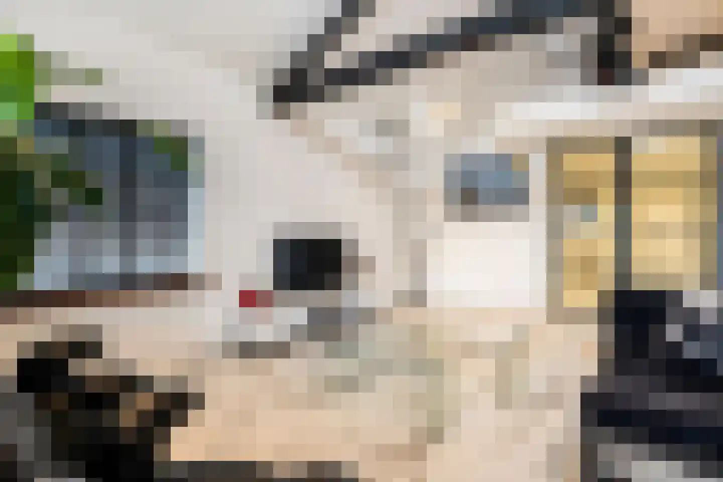 Stationsstraat 12 a Gramsbergen thumbnail 8