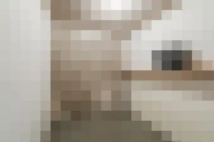 Stationsstraat 121 Heerenveen thumbnail 23
