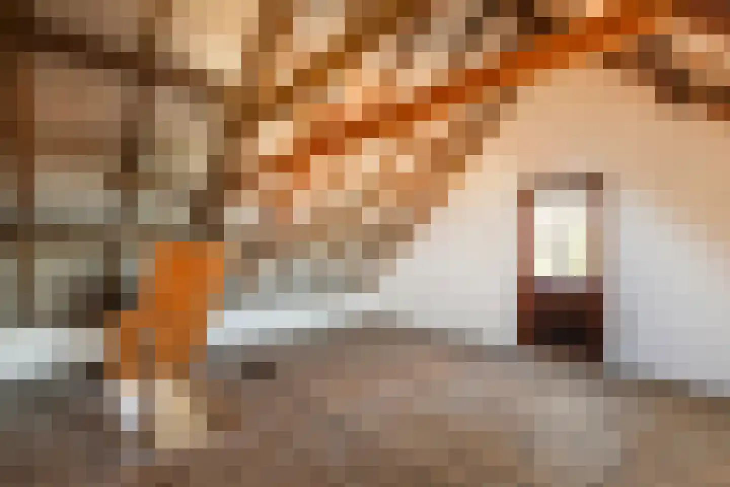 Stationsstraat 13 Druten thumbnail 37