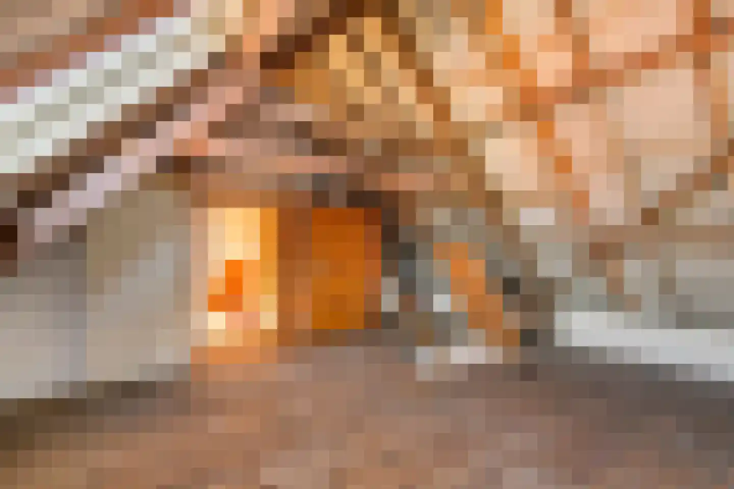 Stationsstraat 13 Druten thumbnail 39