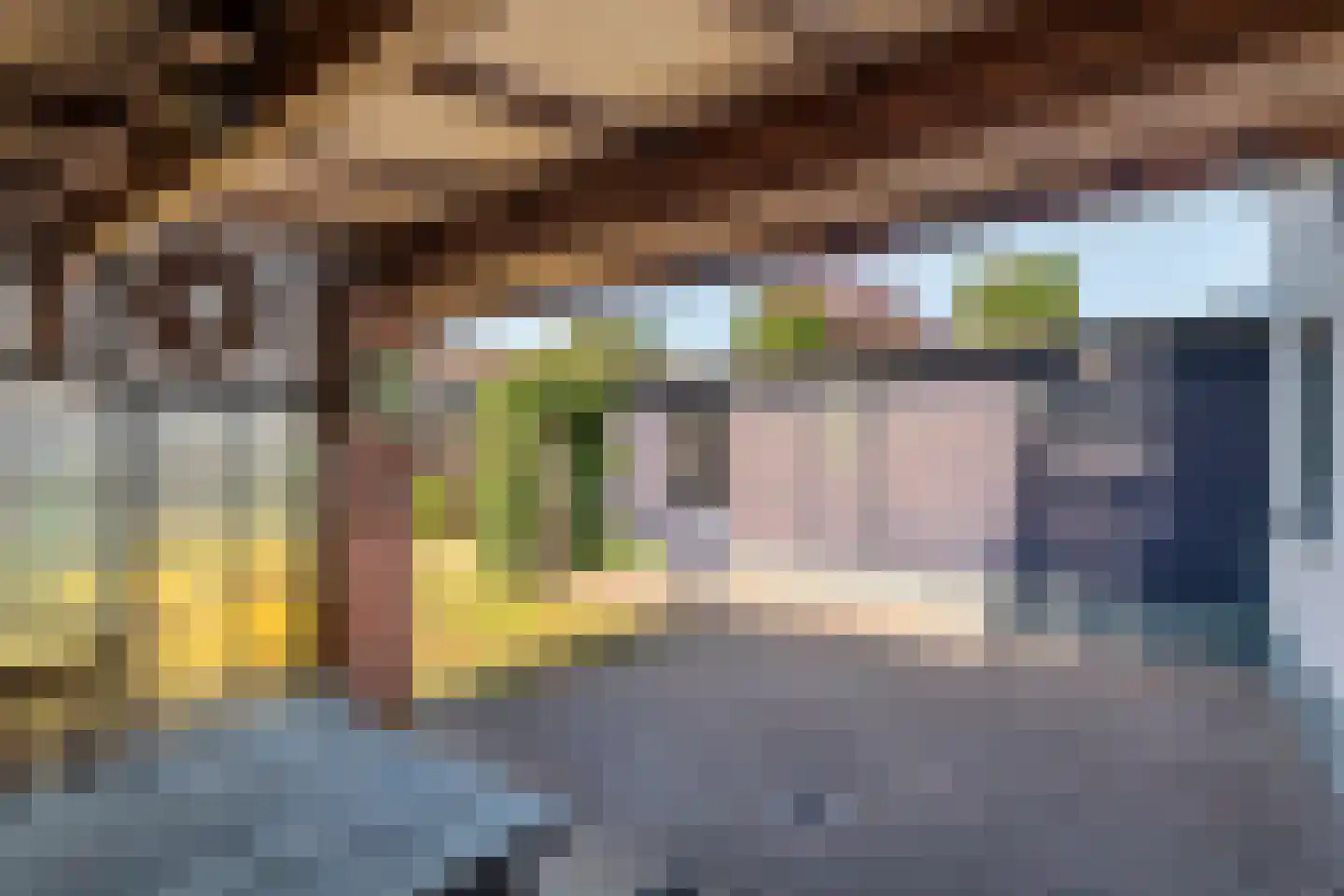 Stationsstraat 13 Druten thumbnail 6