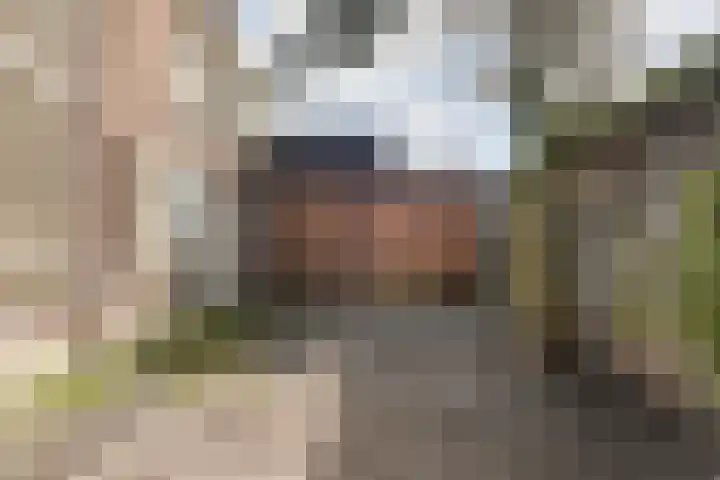 Stationsstraat 13 Oisterwijk thumbnail 4