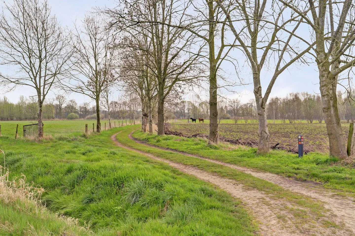 Stationsstraat 135 Hegelsom thumbnail 10