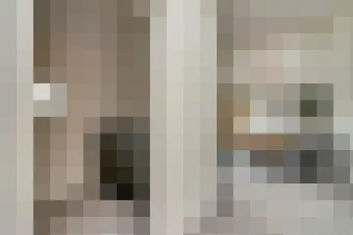 Stationsstraat 135 Hegelsom thumbnail 36