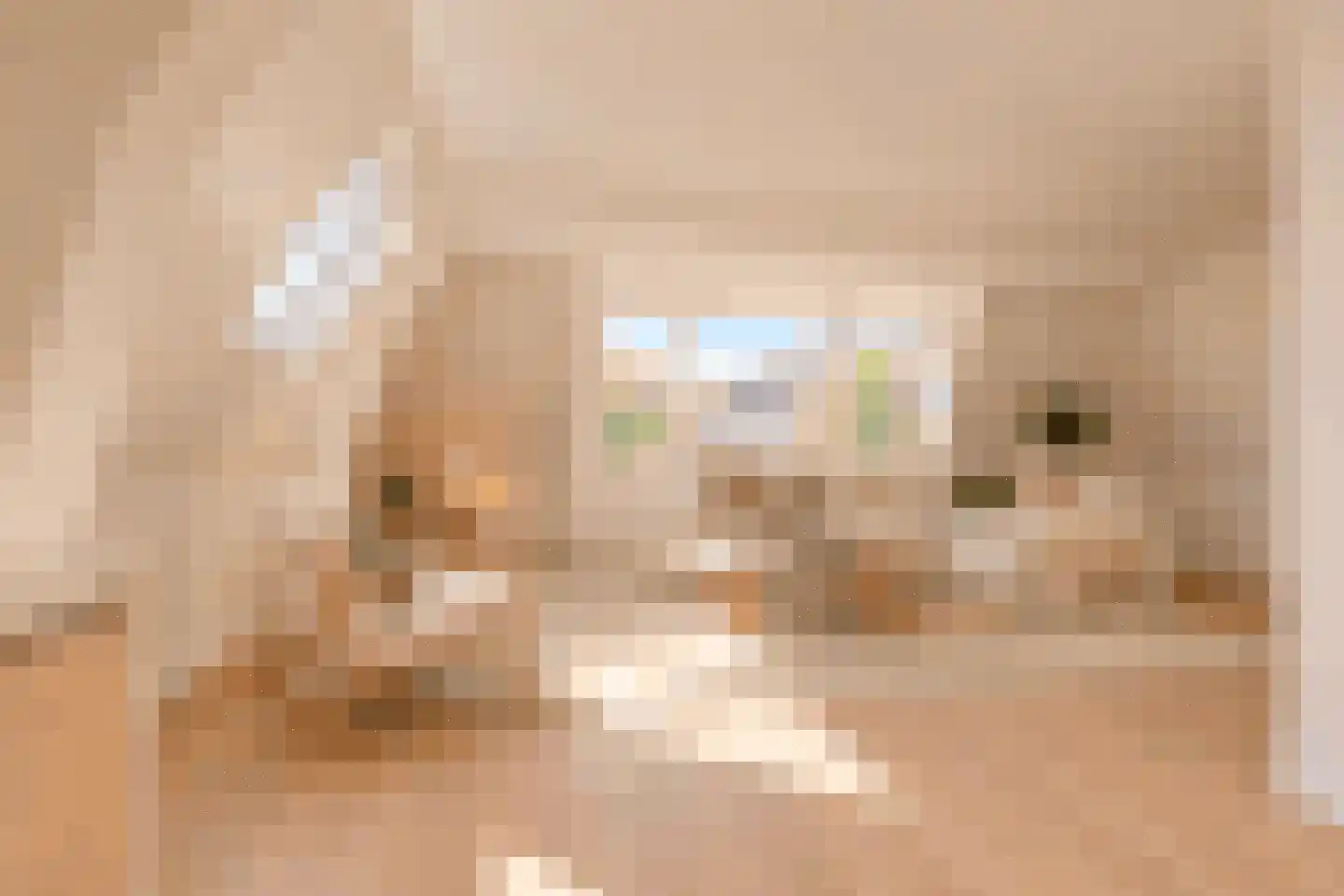 Stationsstraat 14 Drunen thumbnail 8