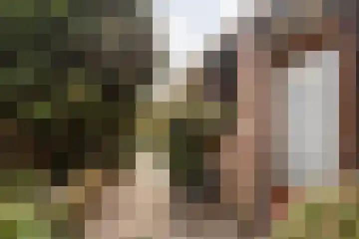 Stationsstraat 140 Elsloo thumbnail 51