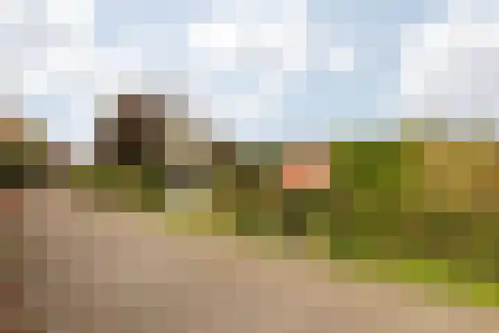 Stationsstraat 140 Elsloo thumbnail 63
