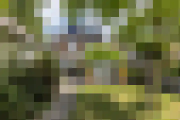 Stationsstraat 148 Elsloo thumbnail 49