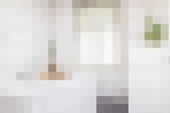 Stationsstraat 148 Elsloo thumbnail 66