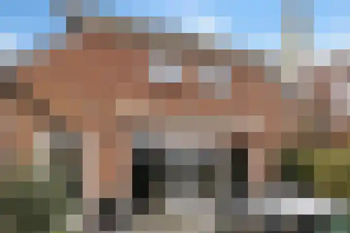 Stationsstraat 15 Appingedam thumbnail 10