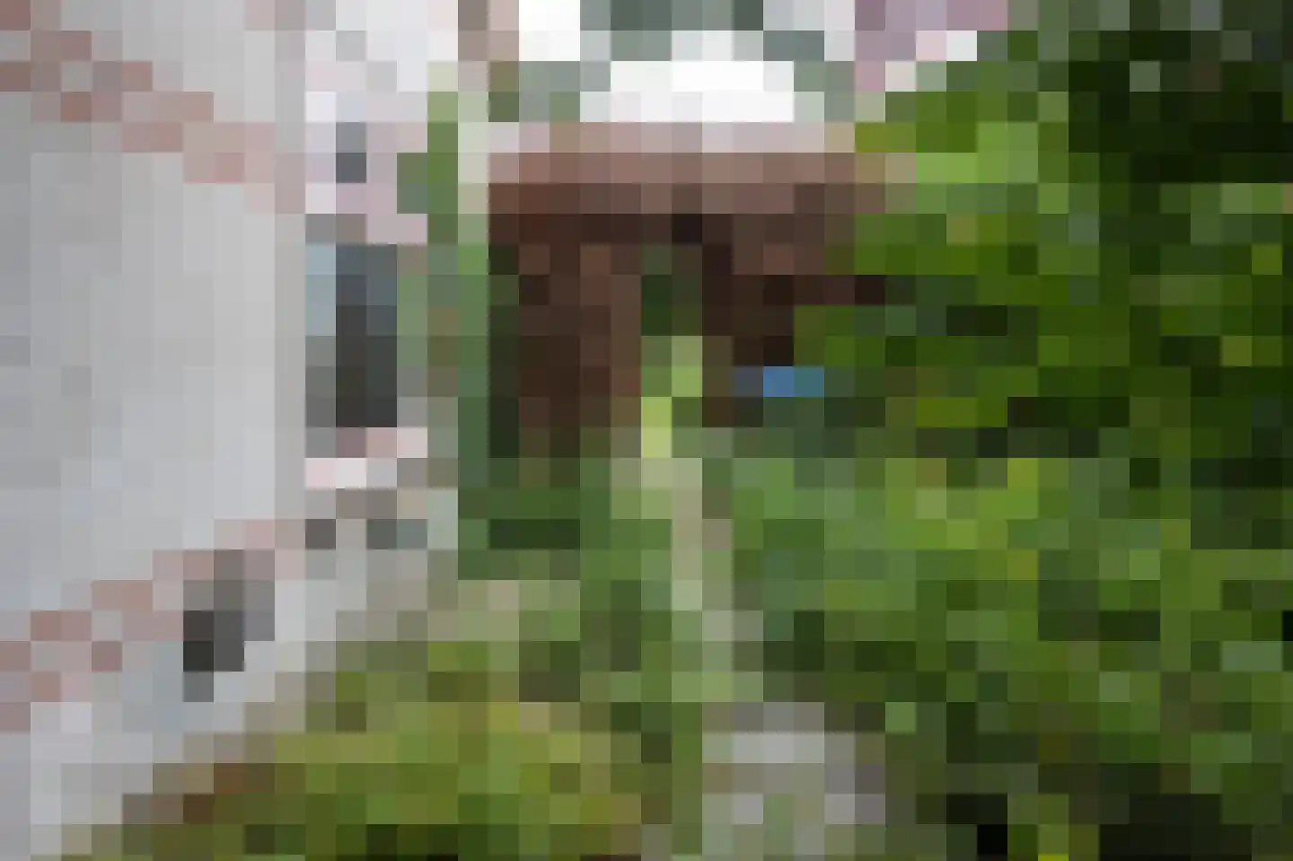 Stationsstraat 15 Spijkenisse thumbnail 10