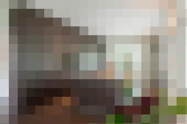 Stationsstraat 16 Gronsveld thumbnail 19