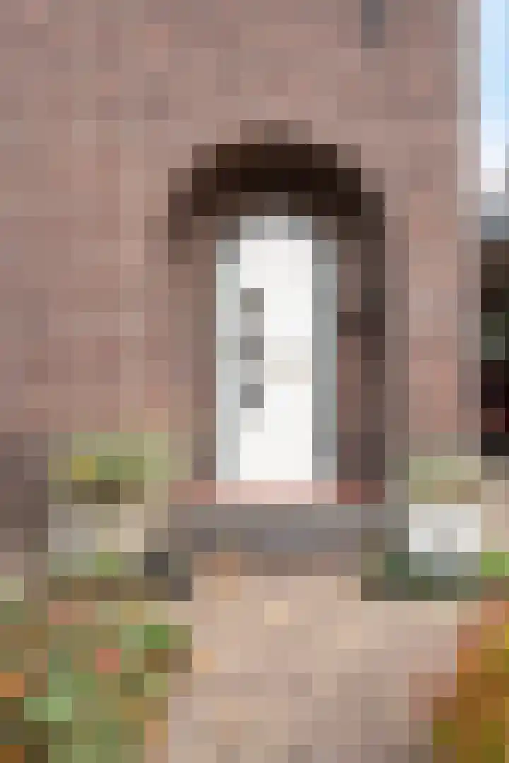 Stationsstraat 175 Elsloo thumbnail 8
