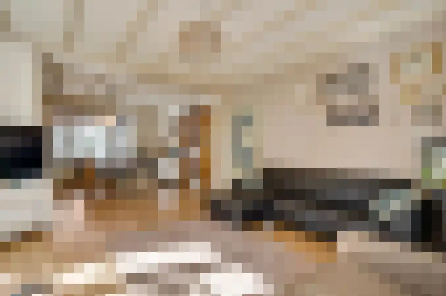 Stationsstraat 18 Gronsveld thumbnail 12
