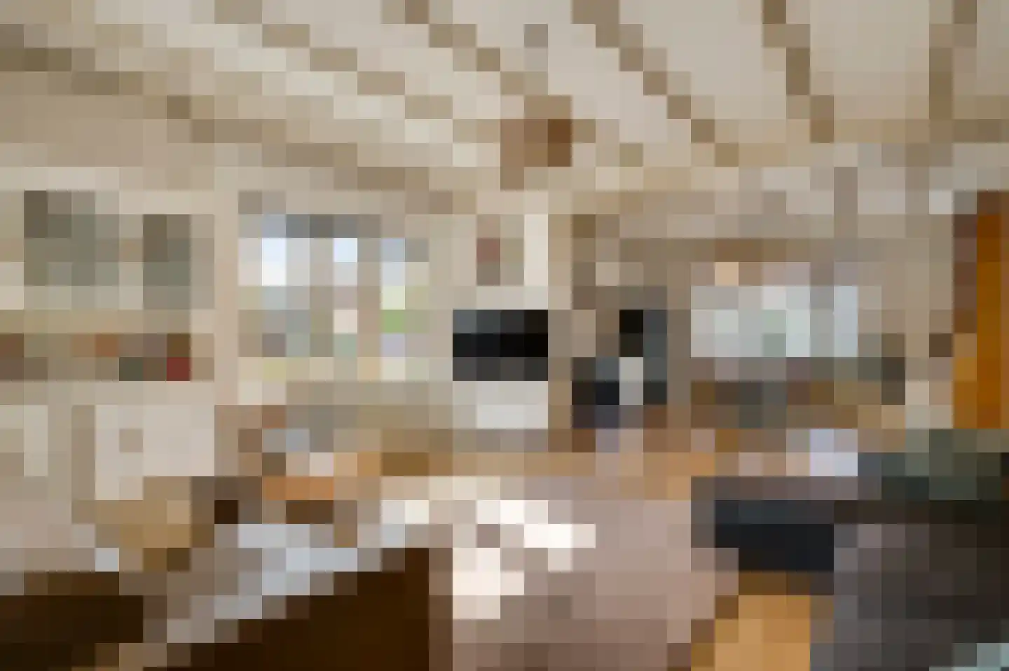 Stationsstraat 18 Gronsveld thumbnail 13