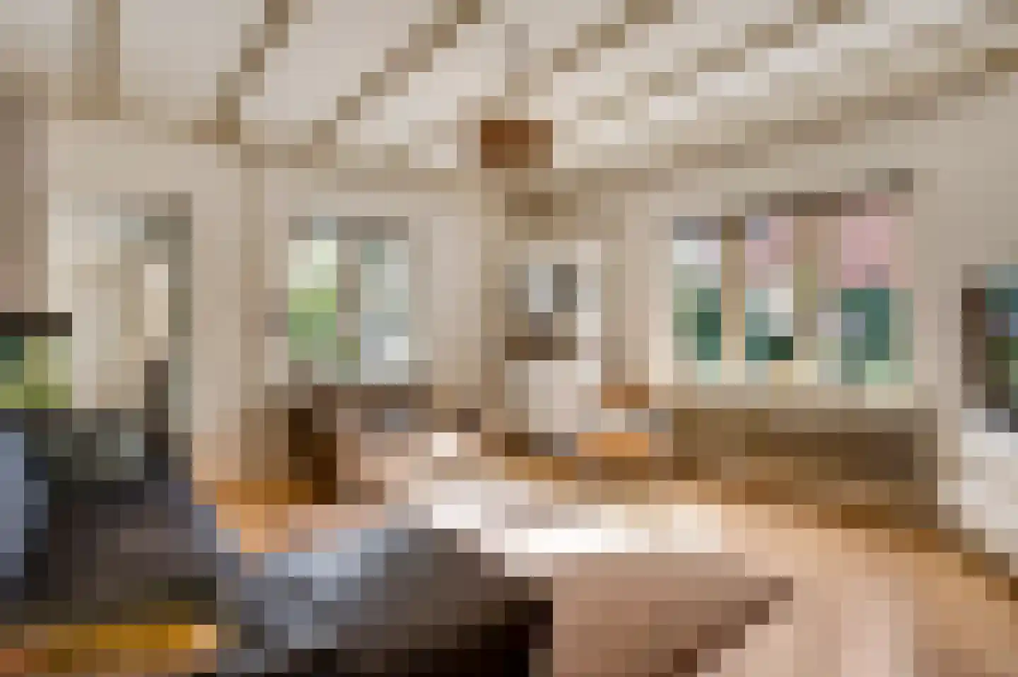 Stationsstraat 18 Gronsveld thumbnail 8