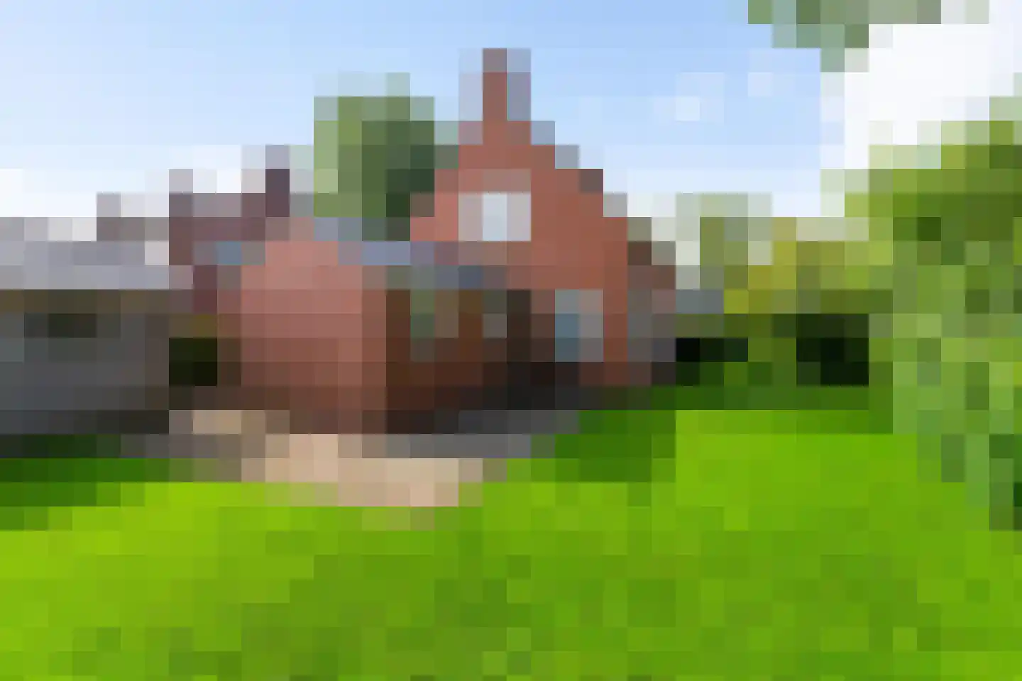 Stationsstraat 18 Sauwerd thumbnail 4