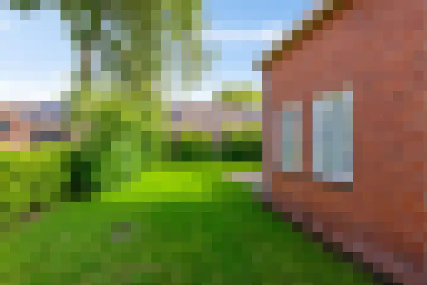 Stationsstraat 18 Sauwerd thumbnail 6