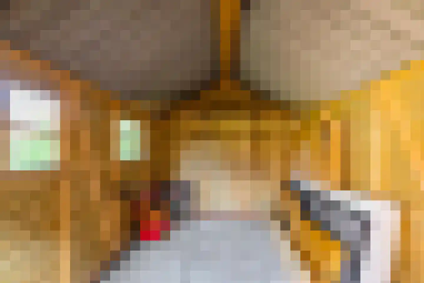 Stationsstraat 18 Sauwerd thumbnail 9