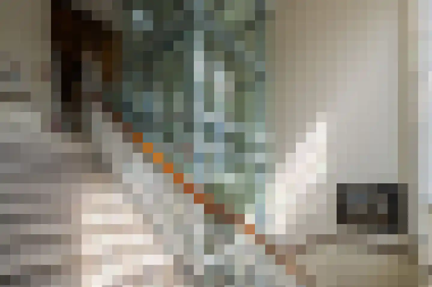 Stationsstraat 19 B Geldrop thumbnail 15