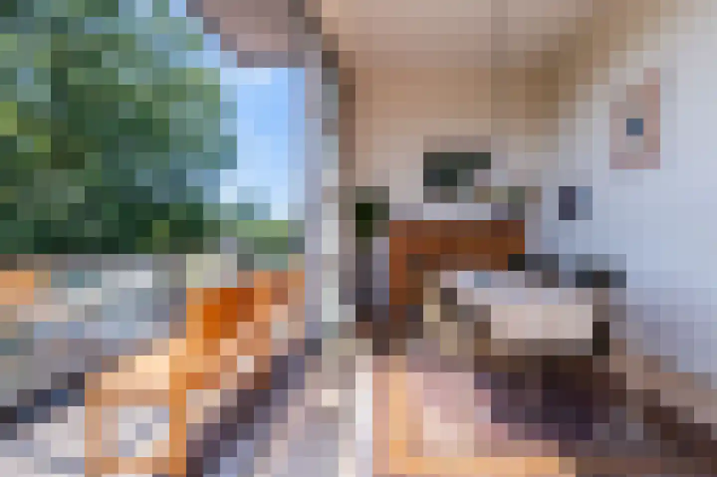 Stationsstraat 19 B Geldrop thumbnail 33