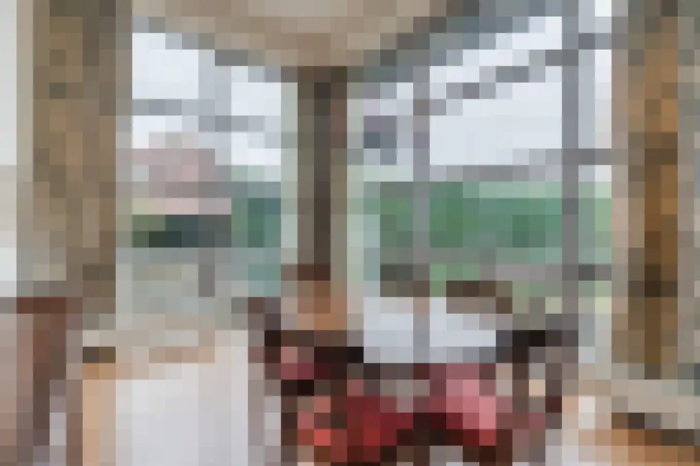 Stationsstraat 19 Geldrop thumbnail 25