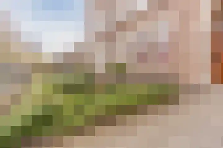 Stationsstraat 19 Geldrop thumbnail 43