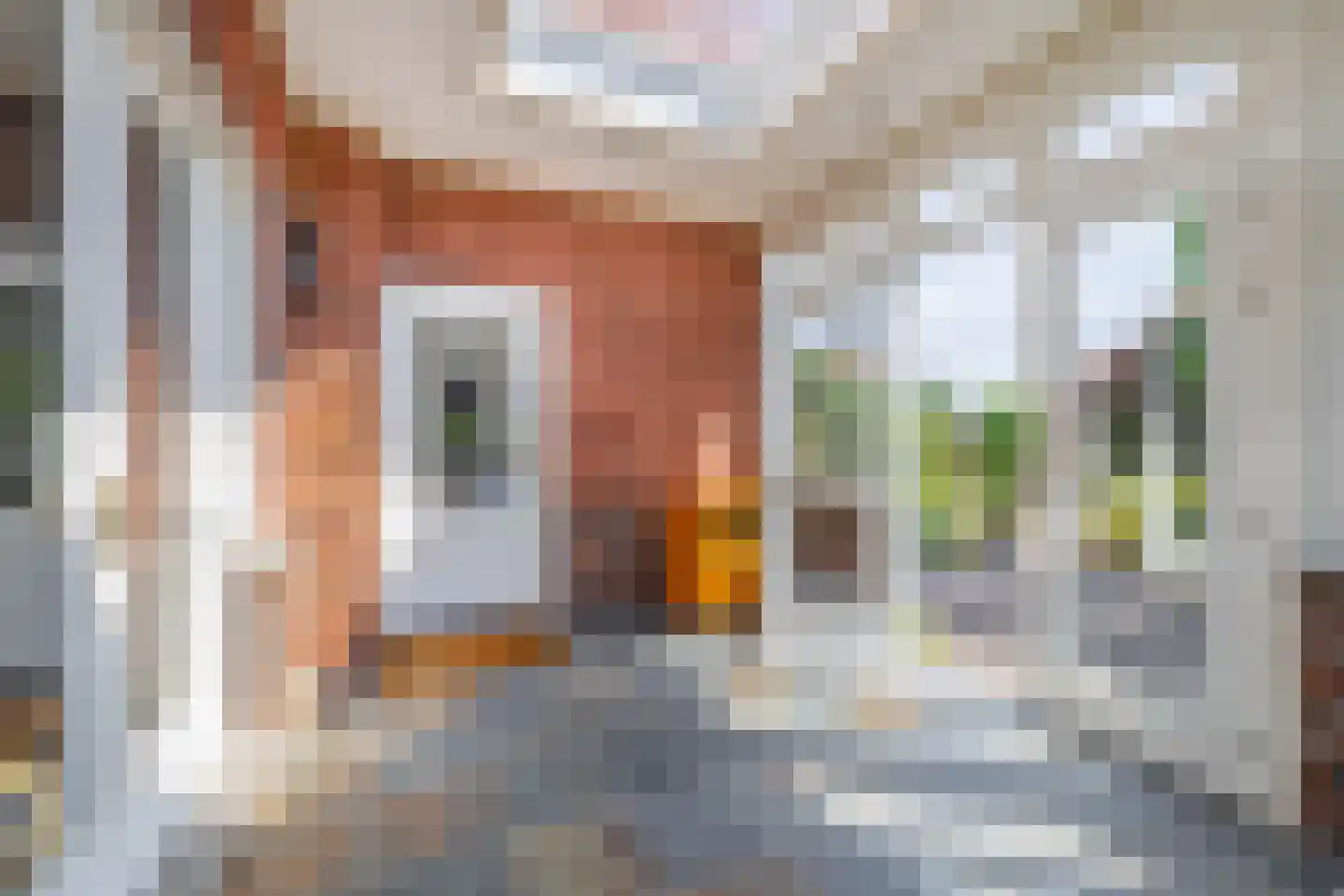 Stationsstraat 19 Tegelen thumbnail 23